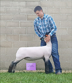 Silvers Livestock Winners