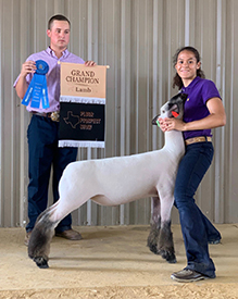 Silvers Livestock Winners