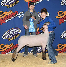 Silvers Livestock Winners