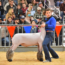 Silvers Livestock Winners