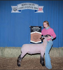 Silvers Livestock Winners