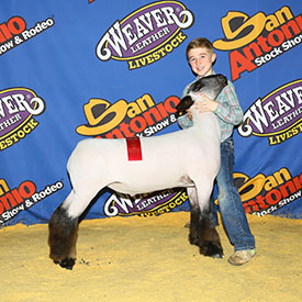 Silvers Livestock Winners