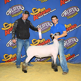 Silvers Liveestock Winners