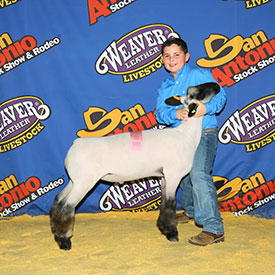 Silvers Livstock Winners
