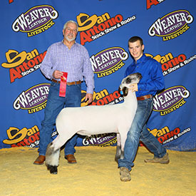 Silvers Livestock Winners