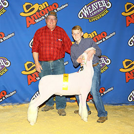 Silvers Livestock Winners